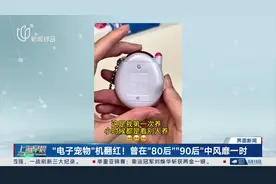 “电子宠物”机翻红！曾在“80后”“90后”中风靡一时视频封面