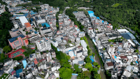 三大世界冠军助阵！直击2025梧桐山登高赛！