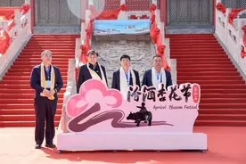以“杏花”之名  作“诗酒”文章图片