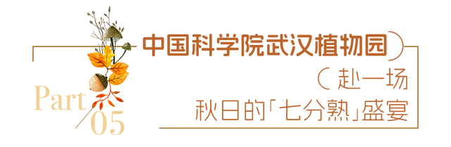送票｜12月来东湖这样玩，嗨翻了！