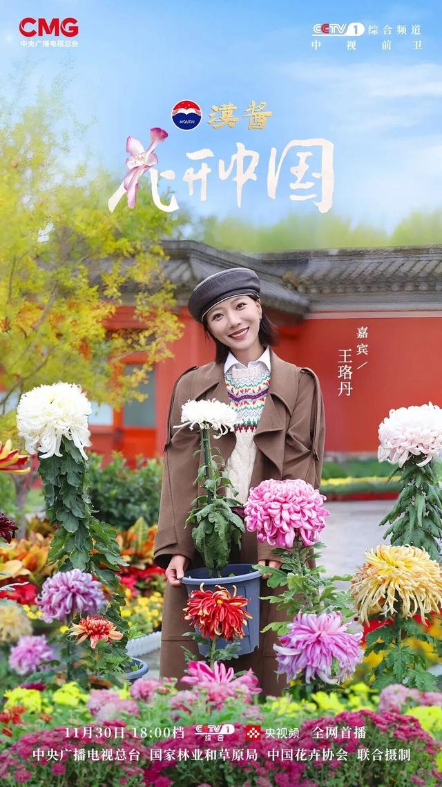 花开中国 | 走进北京菊海 共赏锦绣盛放