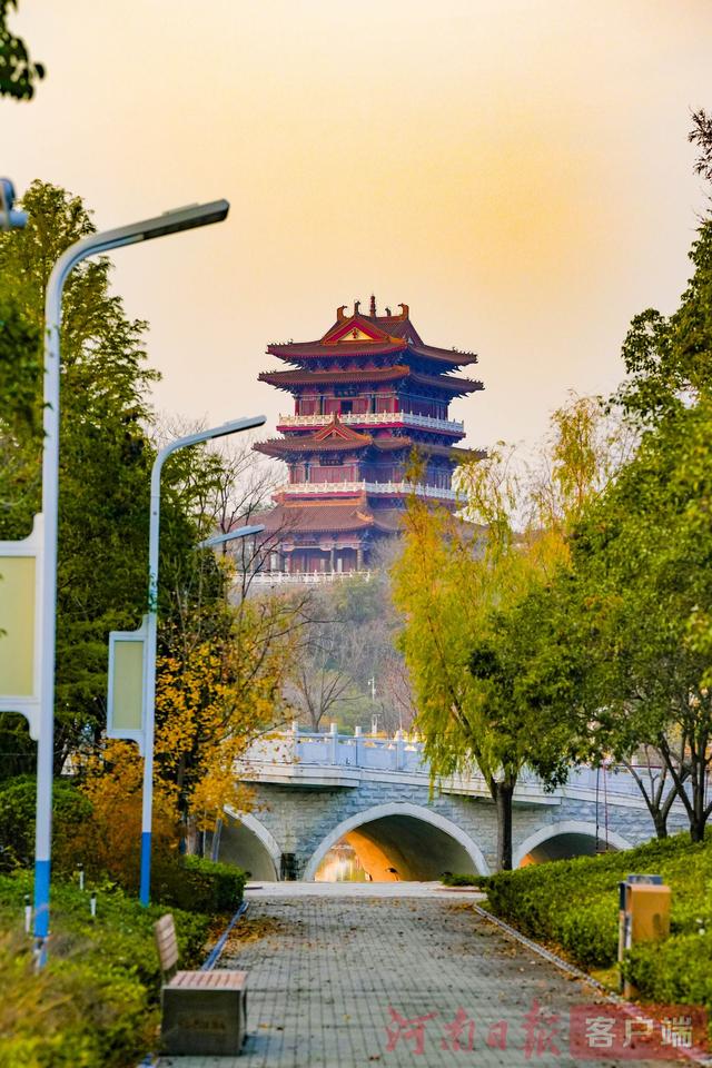 印象港区｜满目金黄，是秋写给冬的告白