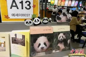 今天！“顶流”回国图片