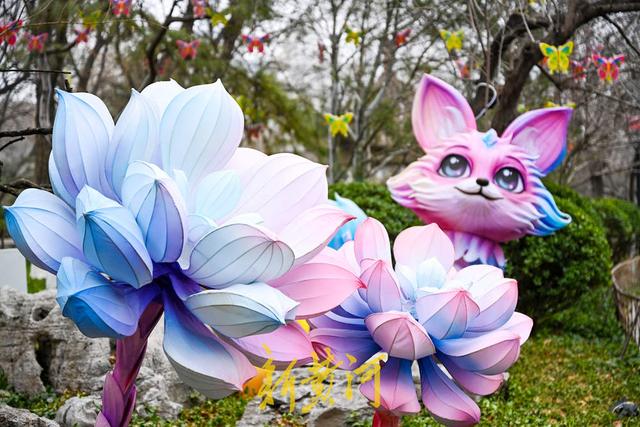 泉畔花灯璀璨迎春，秦琼主题灯组彰显历史风韵