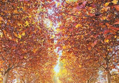 “双红”交织绘就文旅新图景