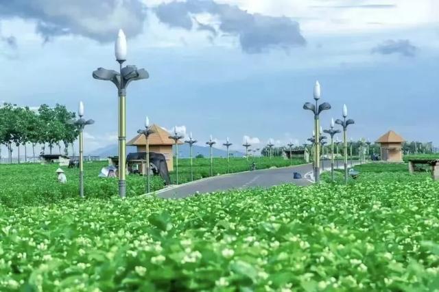 冬日暖游南宁环大明山寻味之旅，暖意美食与奇景相伴！