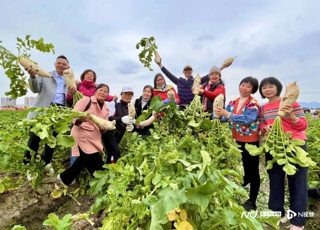 新会文旅体消费季持续火热！预计接待游客达300万人次
