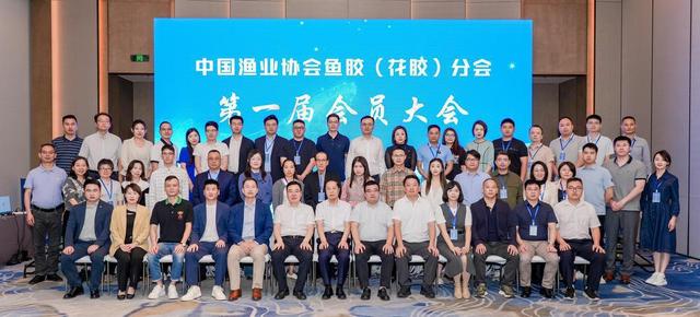 鱼胶代加工 2026年鱼胶加工厂