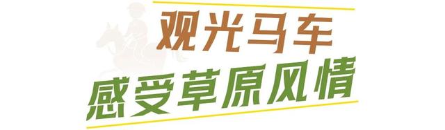 草原、骑马、旅拍｜解锁刘和刚老师同款体验！