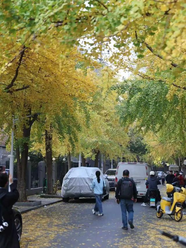 开福上新色：捕捉开福黄调时刻