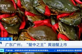一只2000元！比阳澄湖大闸蟹还稀罕？剥开壳惊了图片