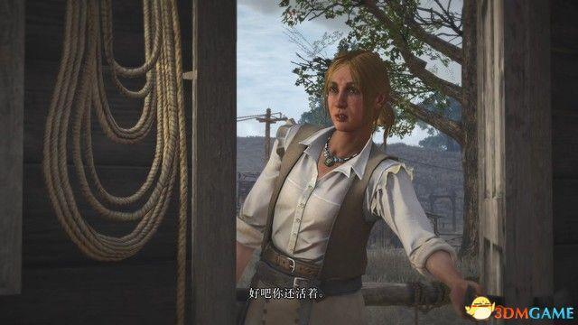 《荒野大镖客：救赎》全剧情流程攻略 全支线任务全收集攻略