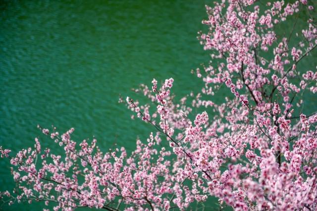 从云端到山野，济南这两地入选省级案例！你打卡过吗？