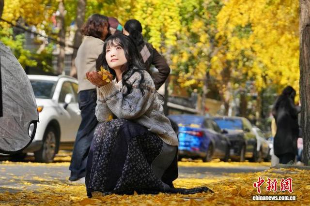 长沙昔日静巷成网红打卡地 金黄银杏扮靓冬日