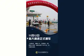 【微海报】正式通车运营！11月12日 临大高速正式通车啦！图片