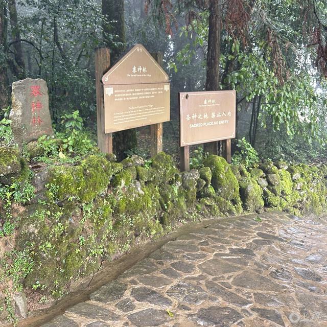 元阳县：一条山路何以撬动全域经济
