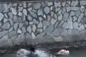 零下气温，上海外卖小哥跳河救人：“这很正常，好人多”图片