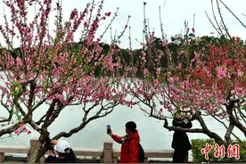 福州：桃花竞放引游人图片