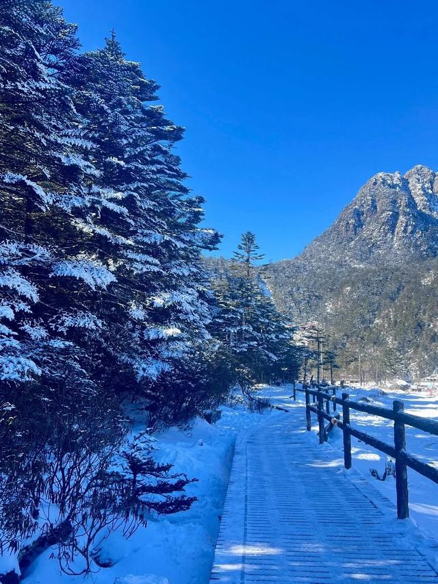 【冬季暖阳 凉山不凉】99元承包螺髻山的冰雪自由！你拉我，你拉我去玩雪啊~