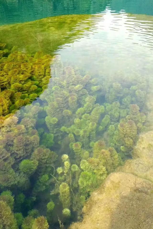 成立70周年!今天,用50图带你走进魅力瑶山