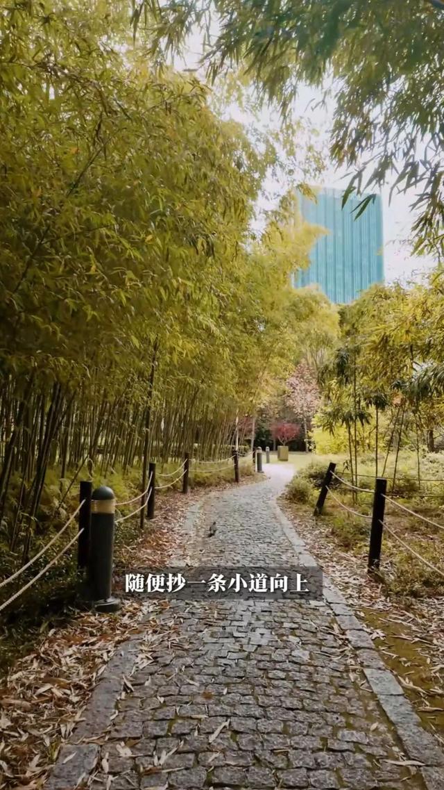 长宁的“双子山”爬过伐？跟着“宁宁”来爬山了！【看“宁”的】