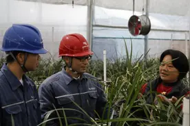 荔浦：春耕春种春管忙 农户用电有保障图片