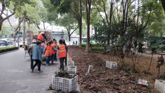让世界看见楚文化