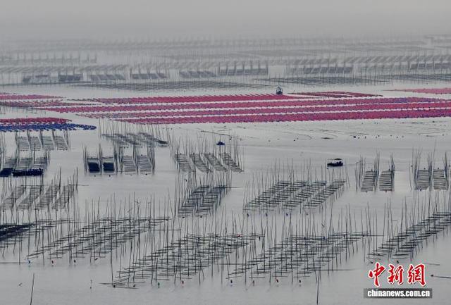 国庆中秋游：福建霞浦海滨风光引客来