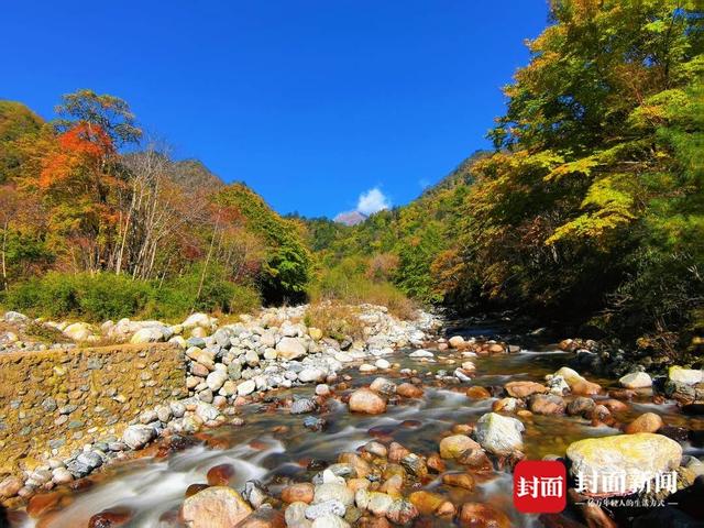 唐家河红叶季云端启幕：生态奇观与千年文脉共绘金秋盛景