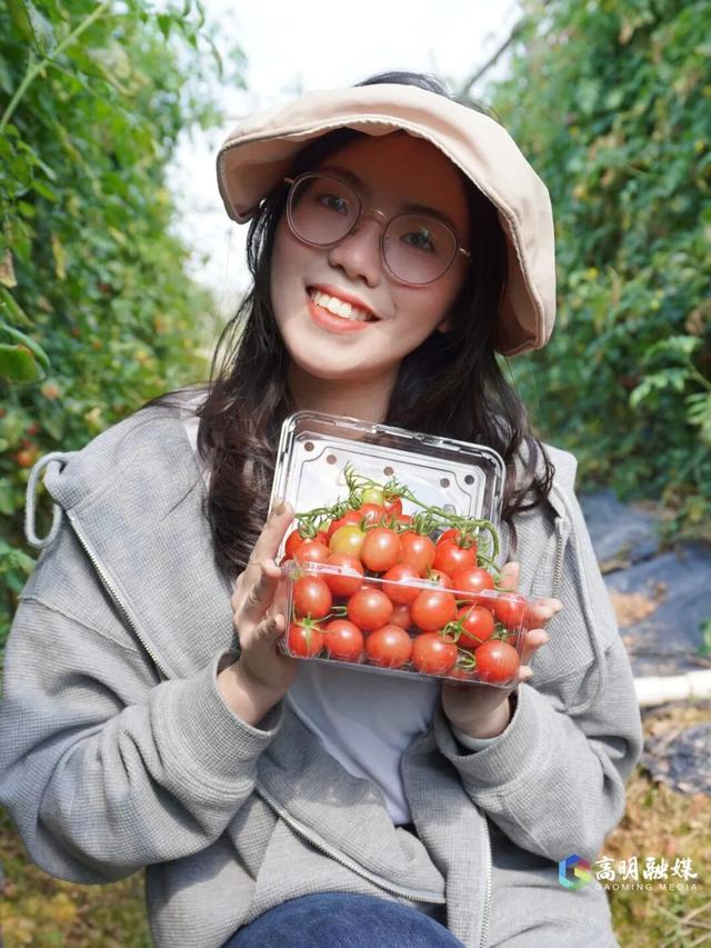 出发！高明遛娃采摘攻略来啦，甜度爆表（附定位）