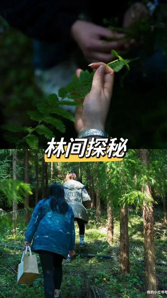 金秋有礼 绵阳有你 ‖ 国庆来安州，四大主题玩法，畅享八日悠闲！