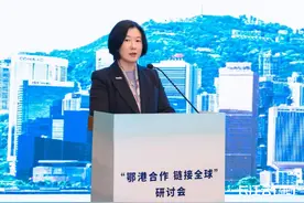 以“链”为媒，湖北香港拟深化供应链合作图片