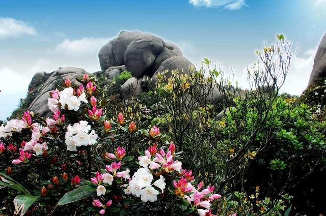 派潭镇申请出战！从嘉禾望岗的离愁，到派潭温泉的治愈