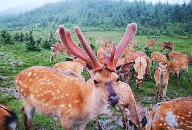 定西市渭源元谷堆景区游玩攻略