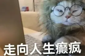 别再跟风“大学必须参加的N个竞赛”了！含金量超高的118个竞赛在这里🤩图片