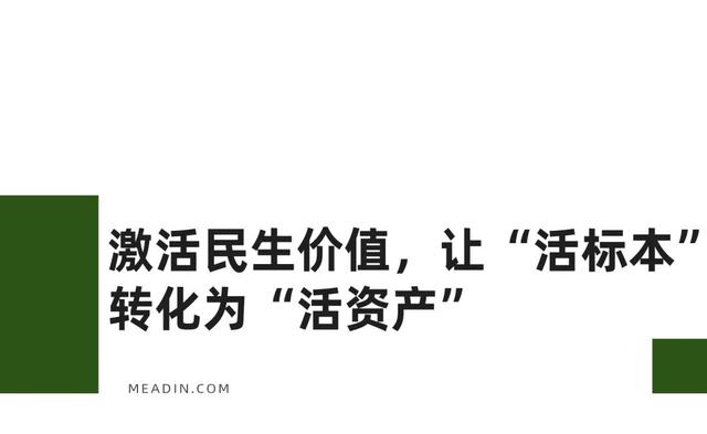 从化石标本到文旅名片，地质遗产活化的“郧阳答案”