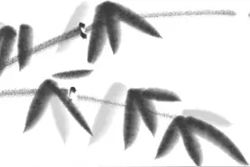 来吴中 看“枫”景 | 捻一簇“法”式碧螺绿  沏一壶“法”味茶香浓图片