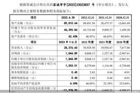 力高新能IPO难以回避的三大质疑图片