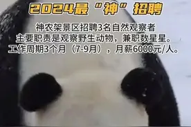 100：1招录！神农架景区3名自然观察员上岗：像神仙一样的工作图片