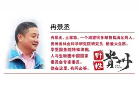 野性贵州 有问必答丨小小刺猬真是乖，浑身带刺也可爱……图片