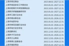 上海市2024年第二批非营利组织免税资格认定名单图片