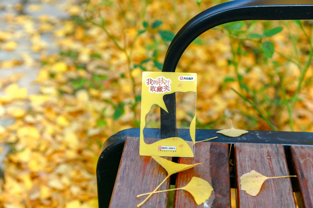 “不如去看一棵树” | 寻初冬彩蛋 圆明园邀您来打卡