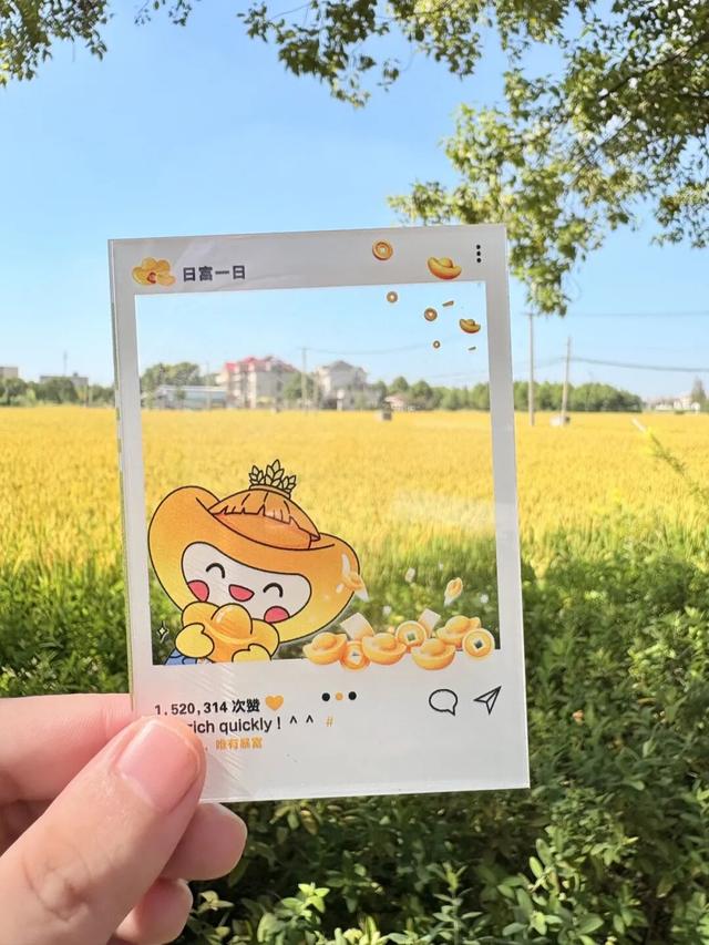 举张透卡逛罗泾！解锁宝山秋日新玩法，一起拍爆朋友圈~