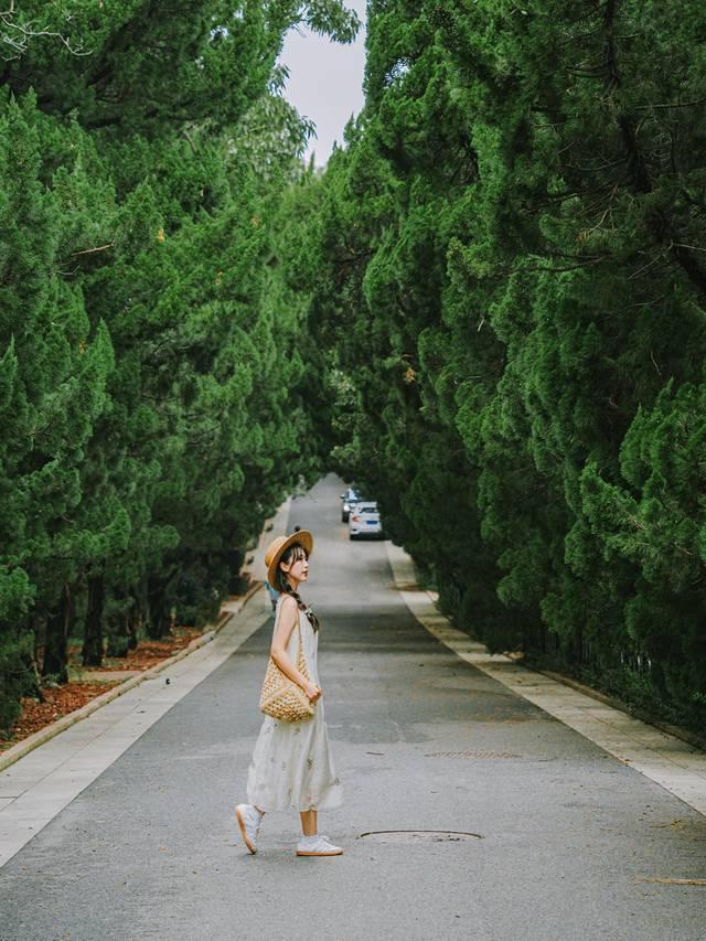 好客山东，奔赴一场山海之约