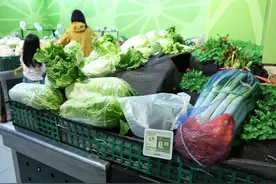 北京冬储菜正式开售 预计11月大批量供应市场图片