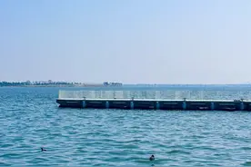 上海这些地铁站含“湖”量超高！一起去看波光粼粼吧图片