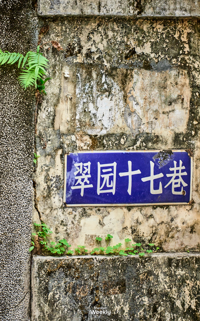 “这条路线，建议深圳人都去一遍”