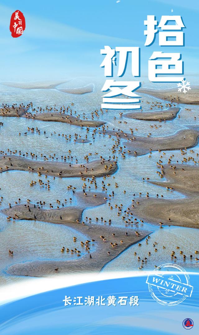 海报｜美丽中国·拾色初冬