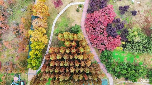 街角的光影、海边的风、林间的静谧……Mark秋日限定诗意