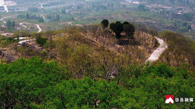 山东省泰安市岱岳区黄前镇双山村：藏在云端的民宿 慢享天然氧吧